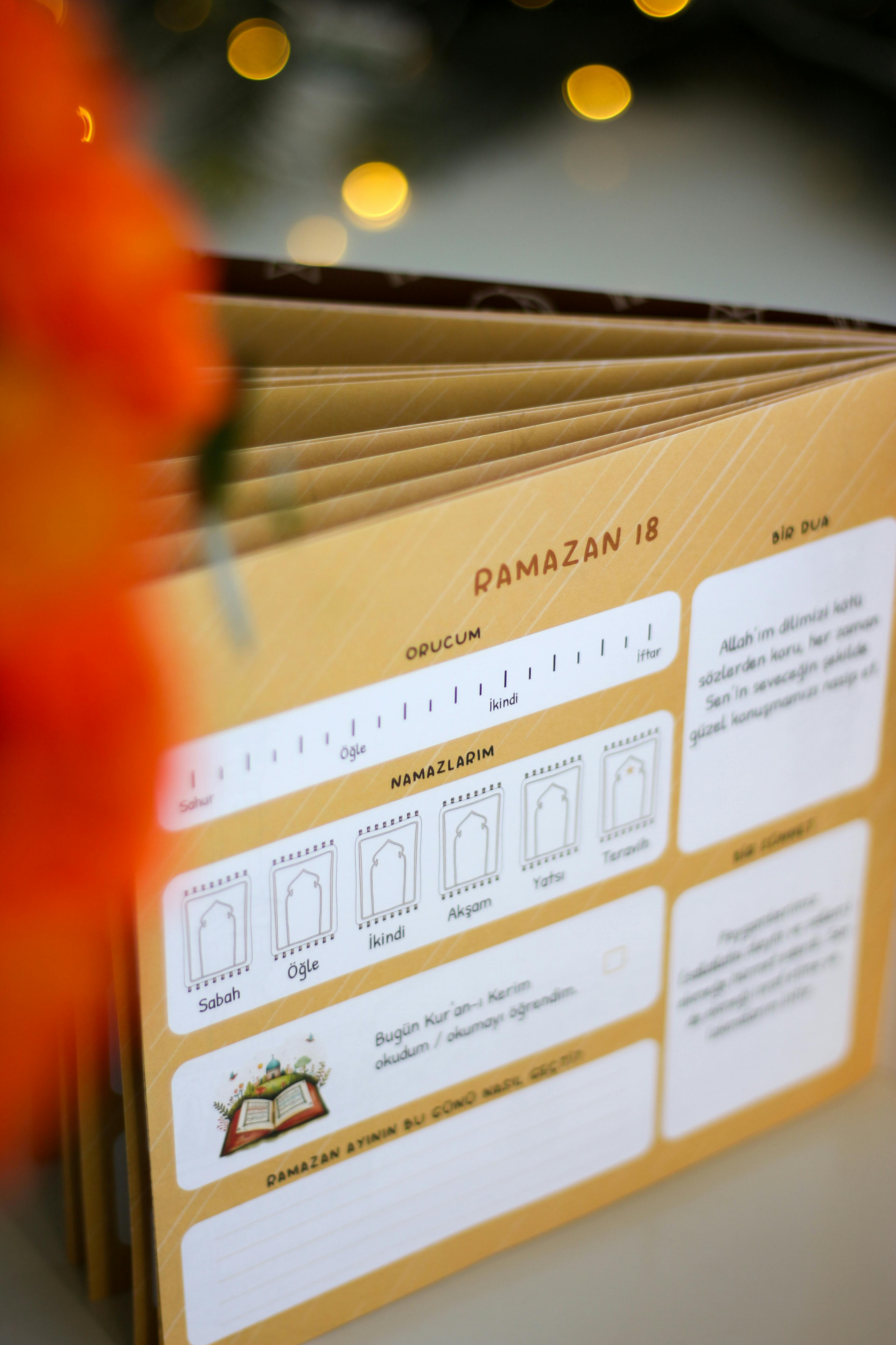 Photo by Sara mazin - https://www.pexels.com/@saramazin