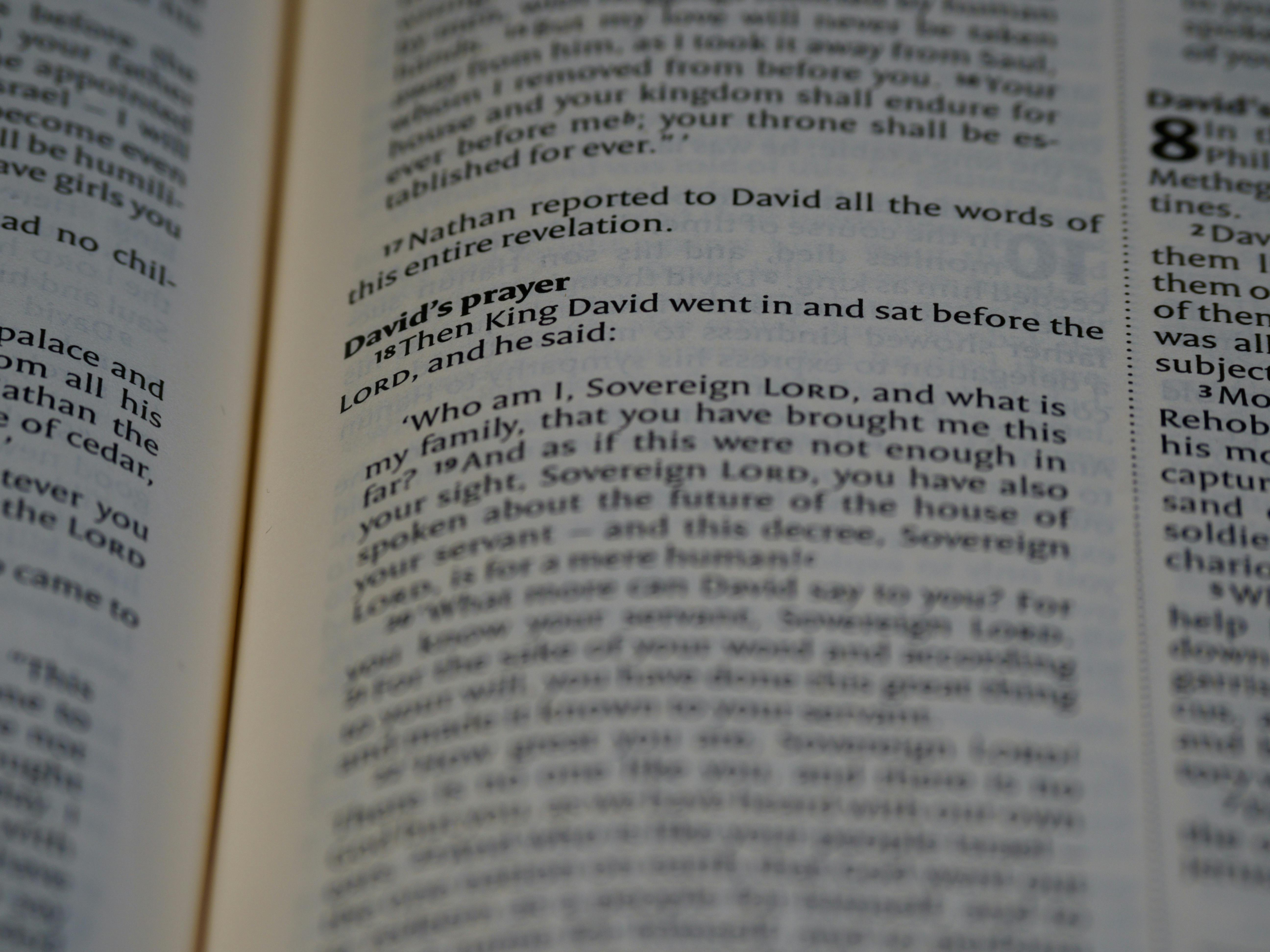 Photo by Brett Jordan - https://www.pexels.com/@brettjordan