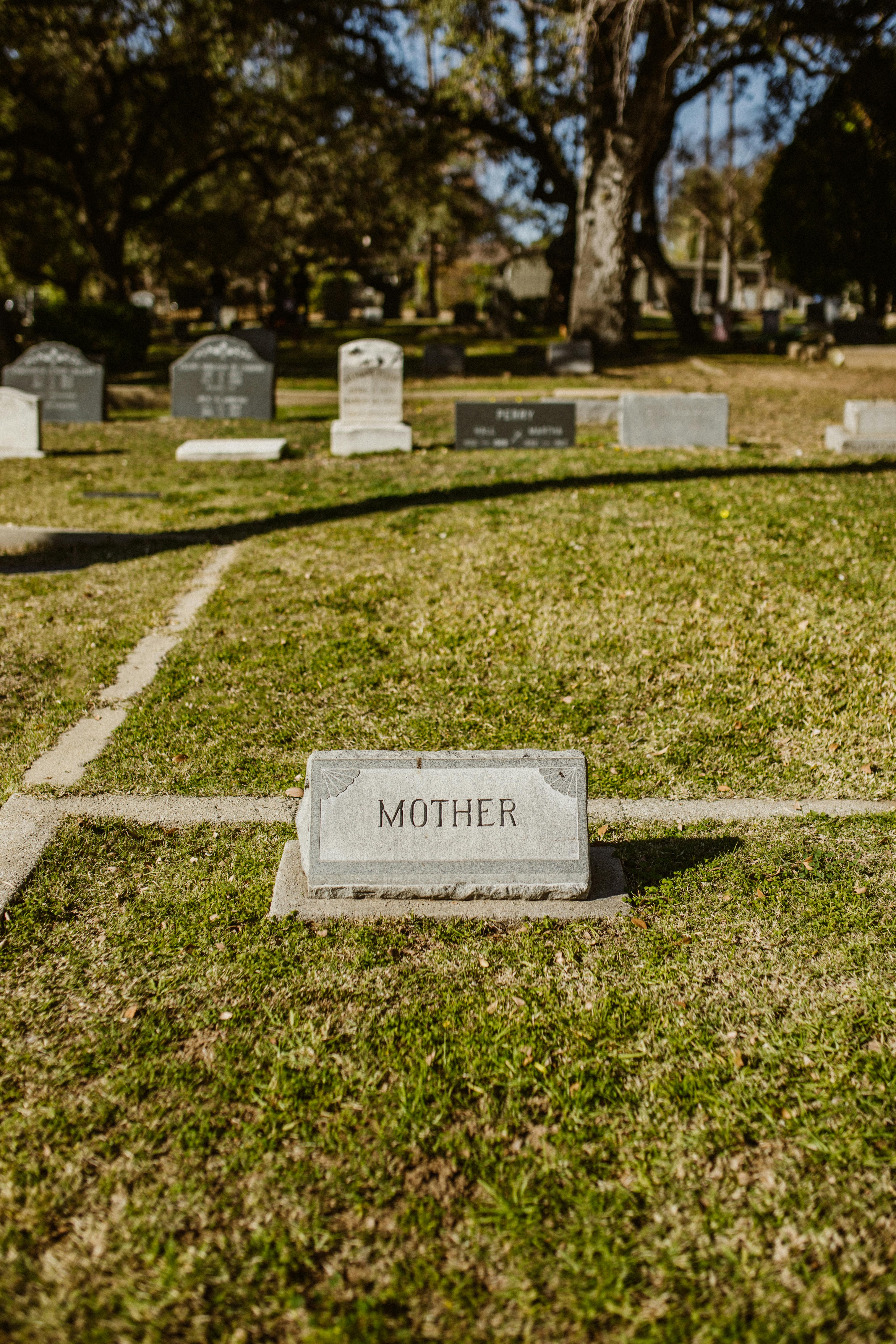 Photo by RDNE Stock project - https://www.pexels.com/@rdne