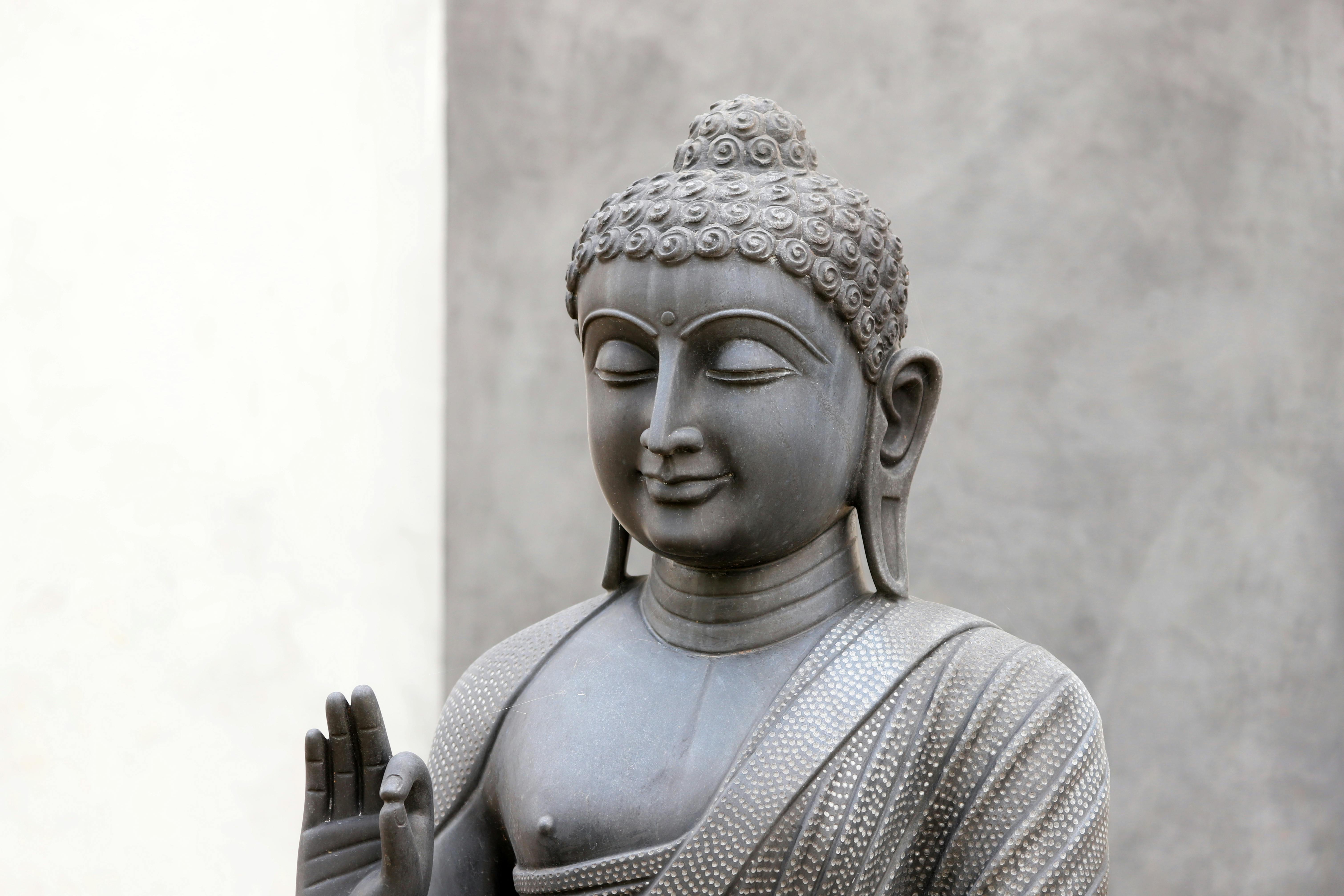 Photo by Sharath G. - https://www.pexels.com/@dropshado