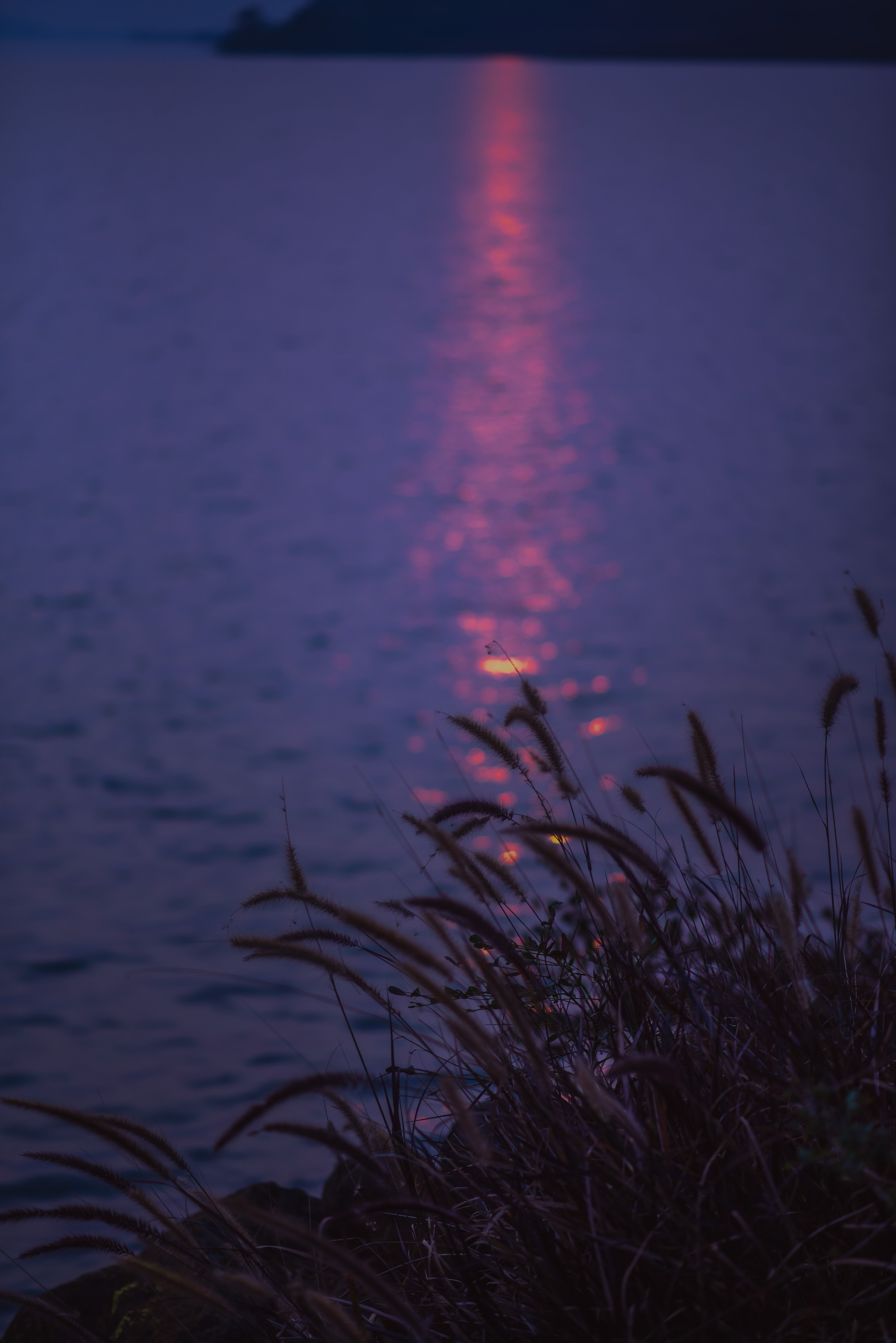 Photo by amar nisalkar - https://www.pexels.com/@amar-nisalkar-407276119