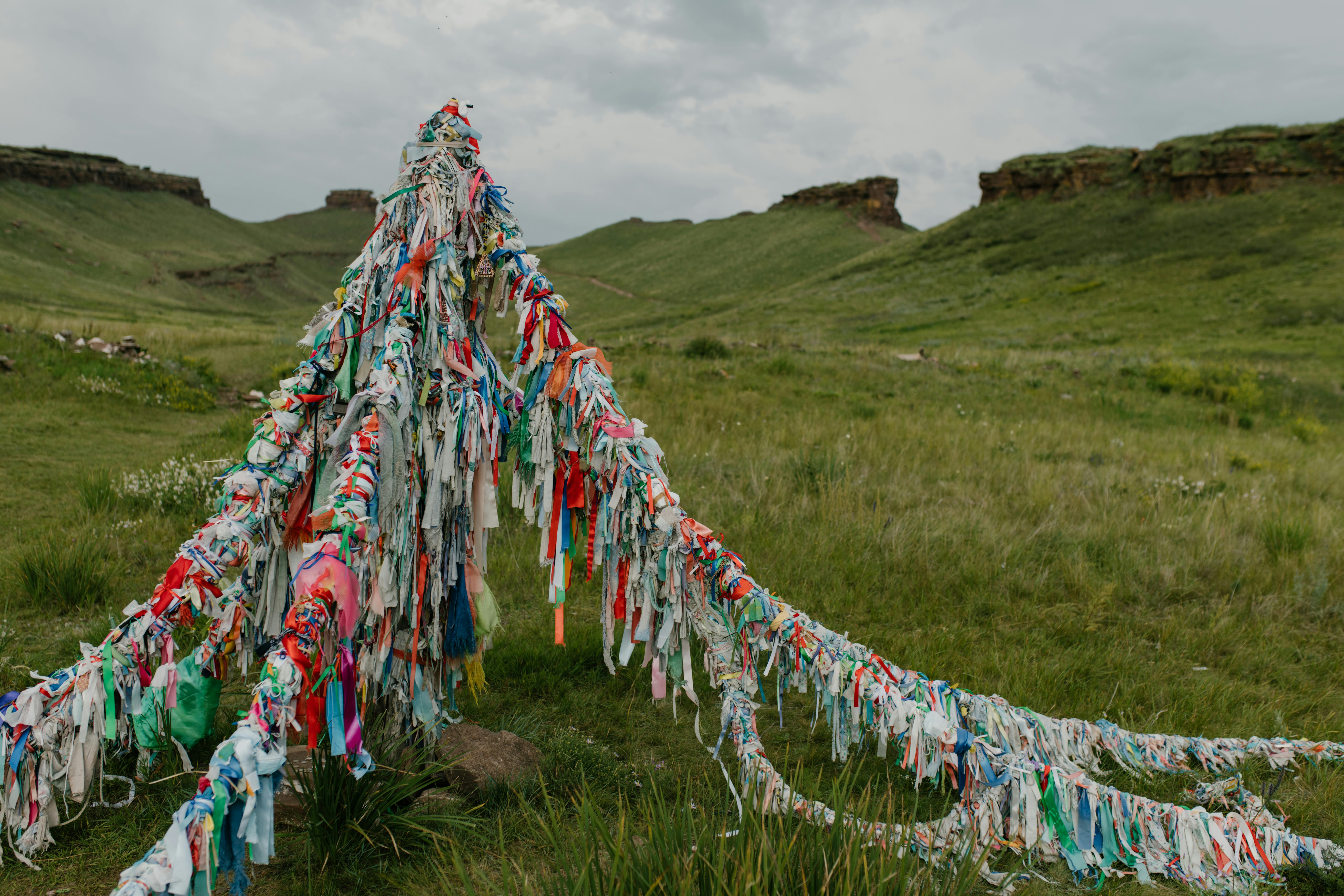 Photo by Julia Volk - https://www.pexels.com/@julia-volk