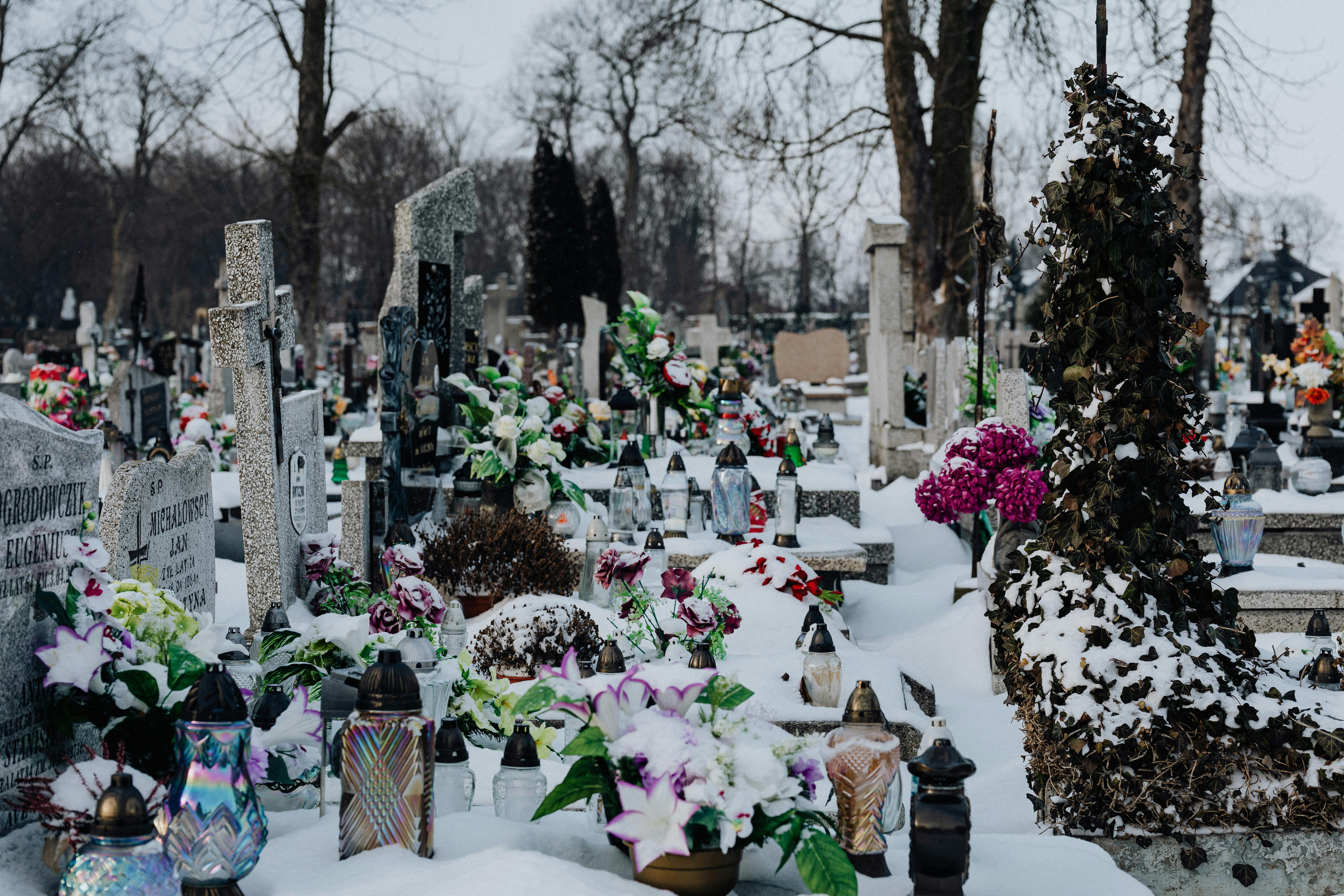 Photo by Karola G - https://www.pexels.com/@karola-g