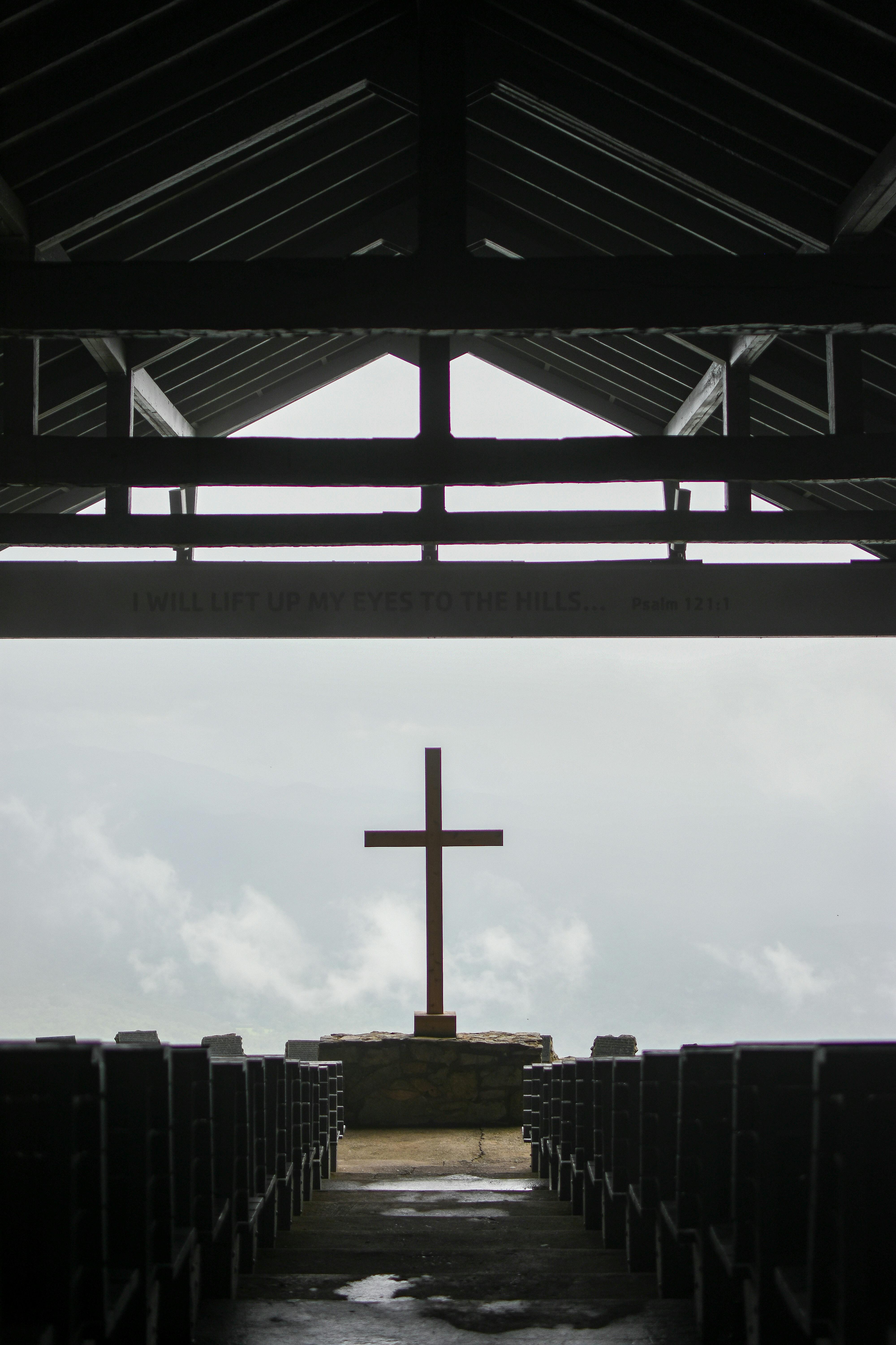 Photo by Julissa Helmuth - https://www.pexels.com/@jhelmuth