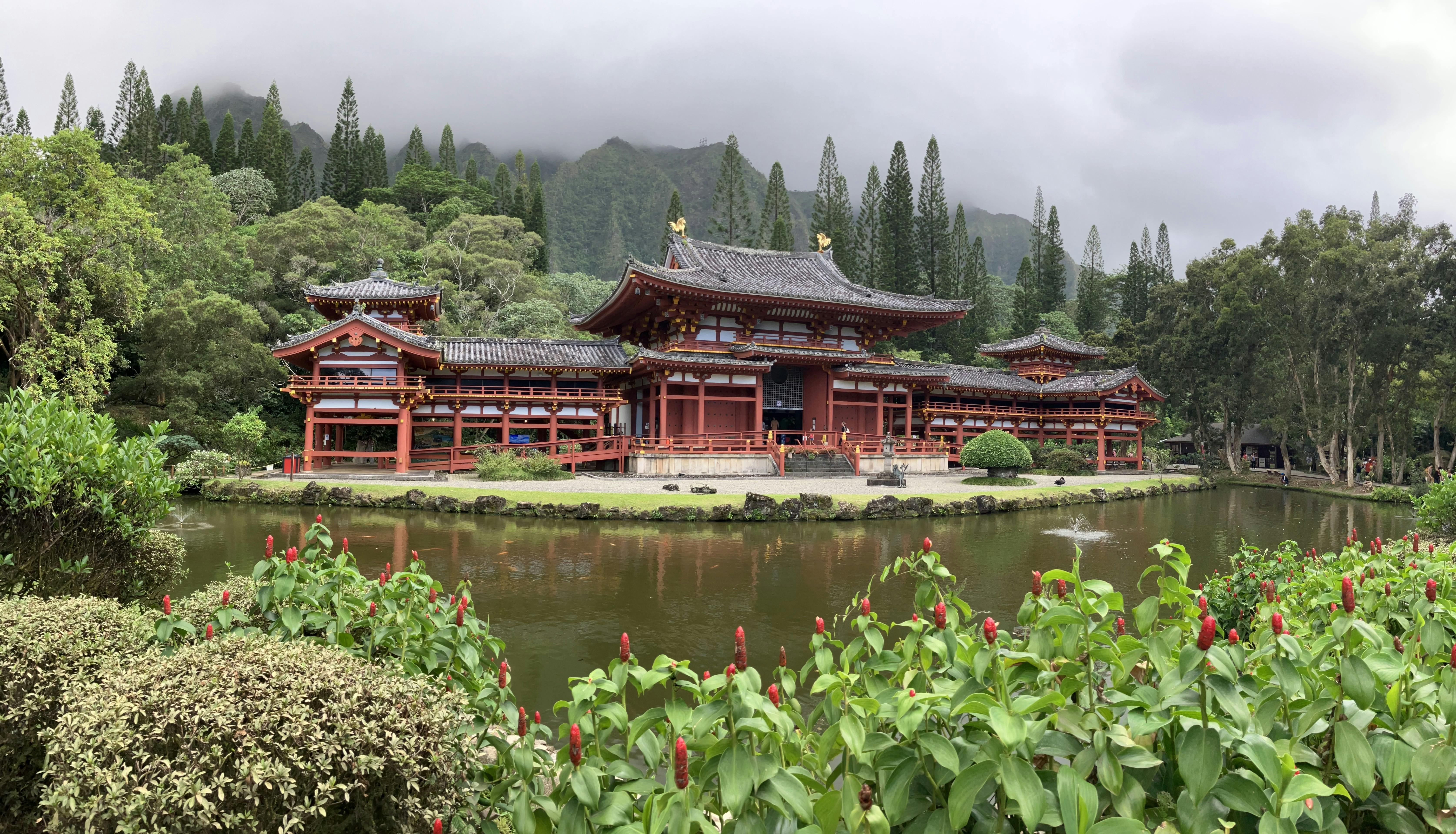 Photo by Emilio Pedral - https://www.pexels.com/@emilio-pedral-467055390