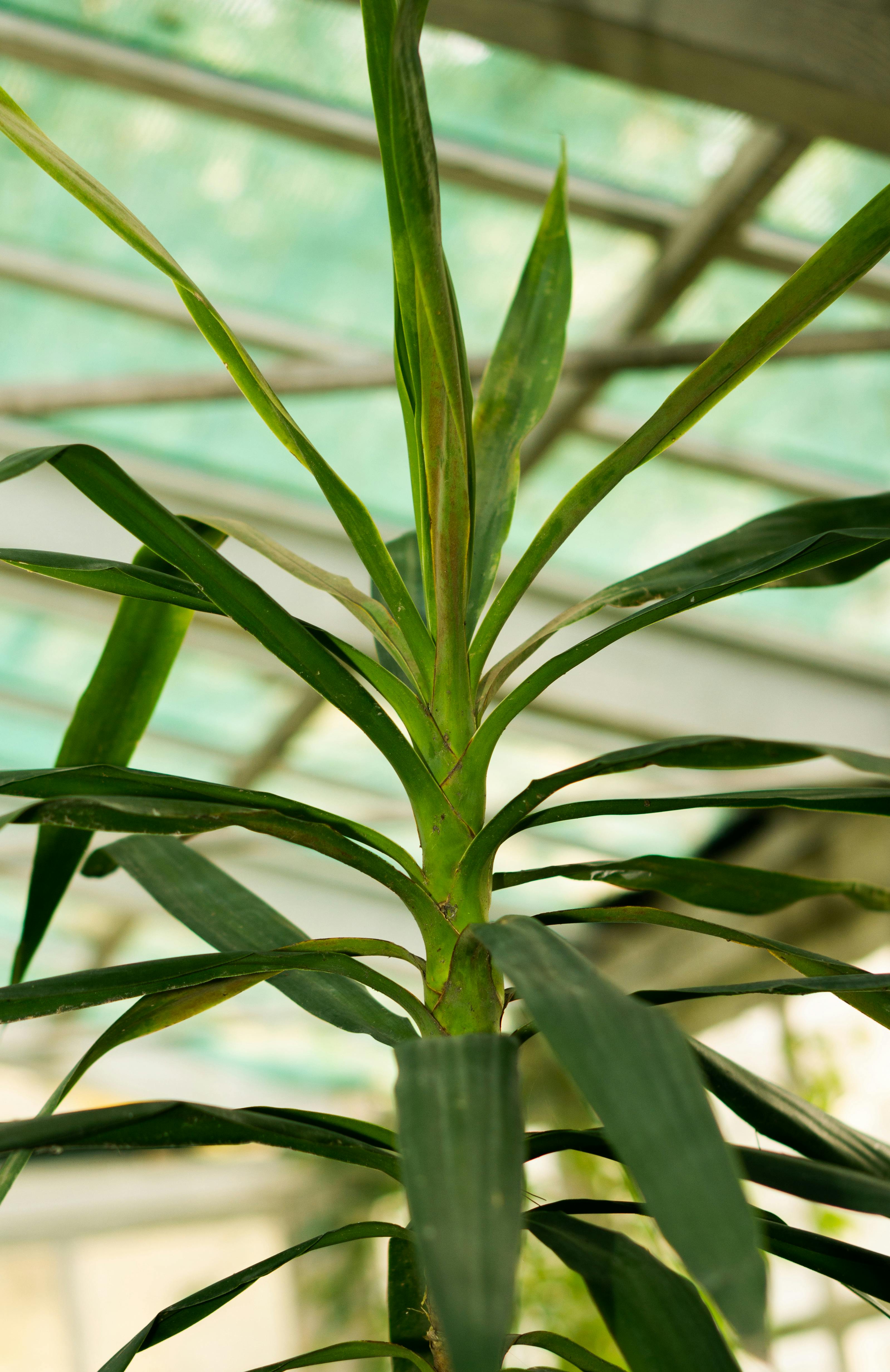 Photo by Olha Ruskykh - https://www.pexels.com/@olha-ruskykh