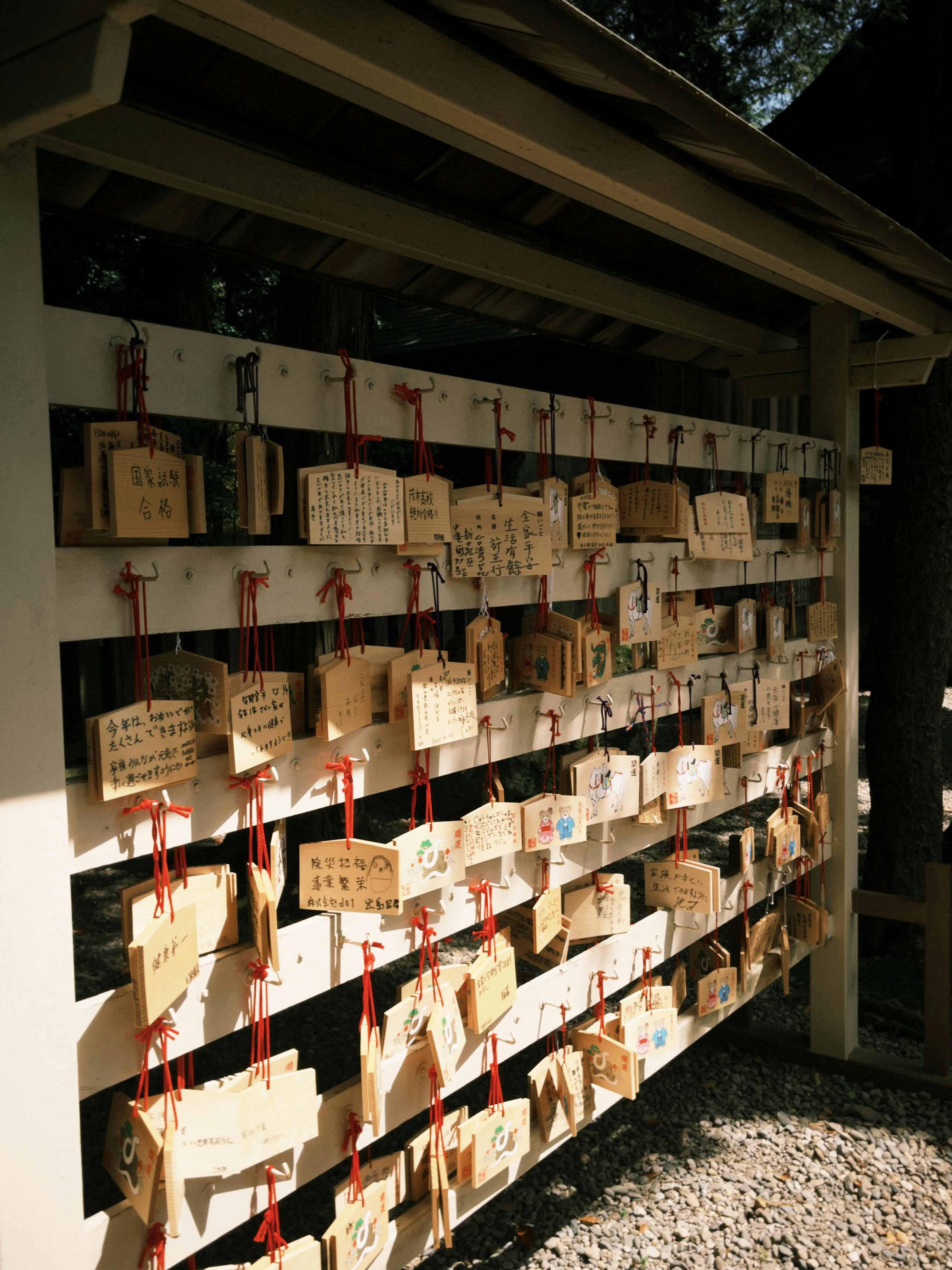 Photo by Maulana Diki - https://www.pexels.com/@maulana-diki-2150992629